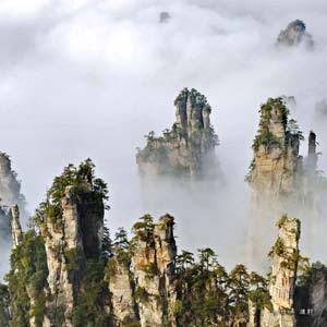 LB線(xiàn)：天門(mén)山、天門(mén)洞、張家界、天子山、楊家界純玩四日游